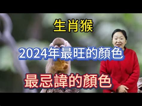 屬猴幸運數字|【屬猴 幸運色】屬猴必看！2024年「大猴喜」！你的幸運色讓你。